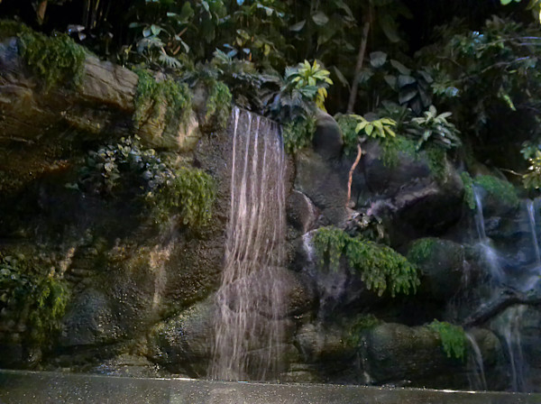 Camden, New Jersey - Adventure Aquarium - Series 1 -11/17/2025 (unedited photography, limited edition of 3, displayed in a silver frame) by Michael Hanna