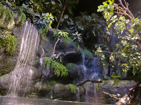 Camden, New Jersey - Adventure Aquarium - Series 1 -11/17/2025 (unedited photography, limited edition of 3, displayed in a silver frame) by Michael Hanna