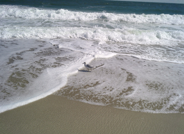 Point Pleasant Beach Series 4 (unedited photography, limited edition of 3, displayed in a silver frame) by Michael Hanna