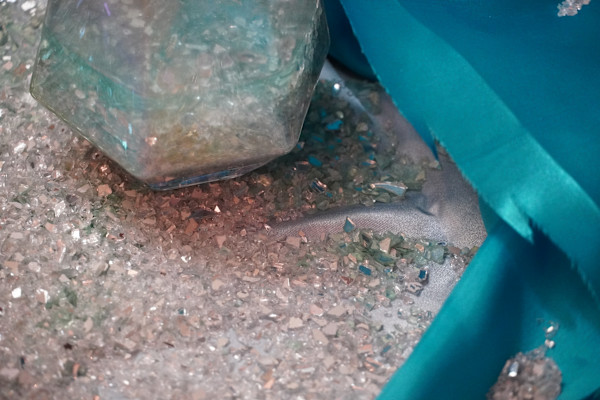 Enchanted Chalices Series 3 (unedited photography, limited edition of 3, displayed in a silver frame) by Michael Hanna