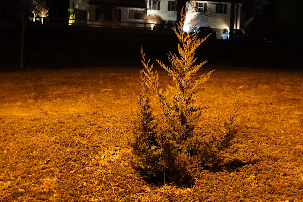 Sensory Experiences - Series 1 by Michael Hanna