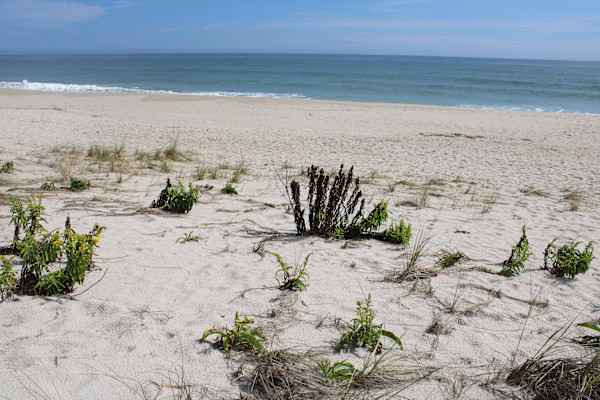 Point Pleasant Beach Series 1 (unedited photography, limited edition of 3, displayed in a silver frame) by Michael Hanna