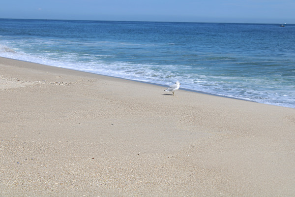 Point Pleasant Beach Series 1 (unedited photography, limited edition of 3, displayed in a silver frame) by Michael Hanna