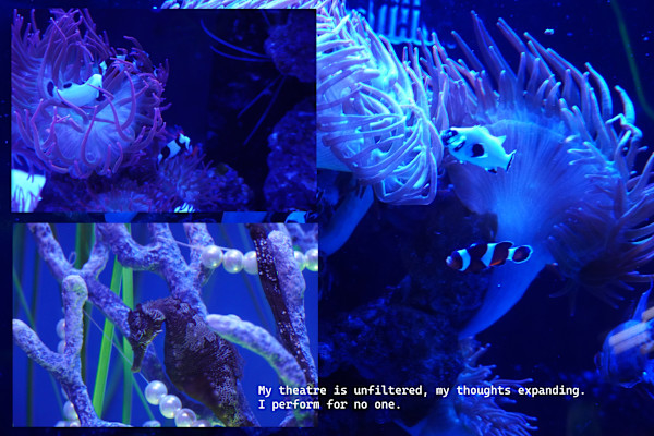 Photographic Assemblage (Series 2) - with unedited photography - printed in a limited edition of one by Michael Hanna