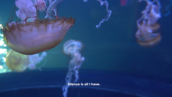 Needless Validation Video Still (limited edition of 3) by Michael Hanna