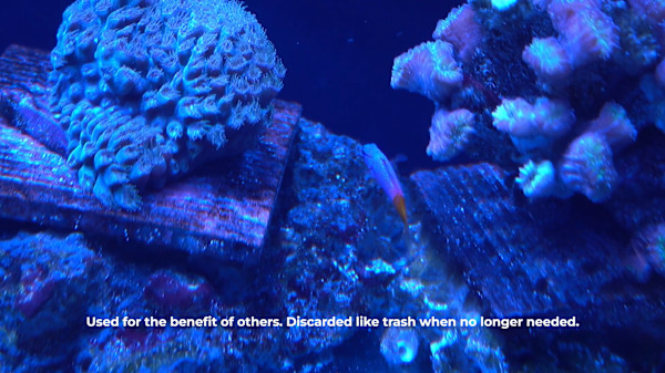 Needless Validation Video Still (limited edition of 3) by Michael Hanna