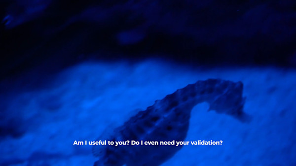 Needless Validation by Michael Hanna