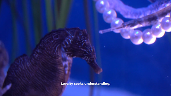 Needless Validation Video Still (limited edition of 3) by Michael Hanna