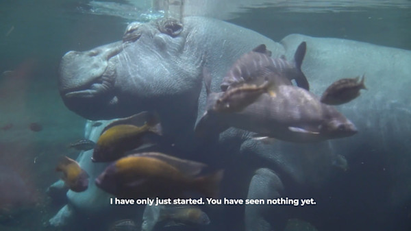 Needless Validation Video Still (limited edition of 3) by Michael Hanna