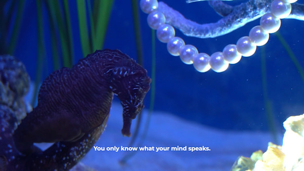 Needless Validation Video Still (limited edition of 3) by Michael Hanna