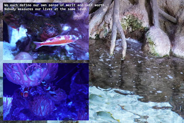 Photographic Assemblage - Series 4 - (printed in a limited edition of one) by Michael Hanna