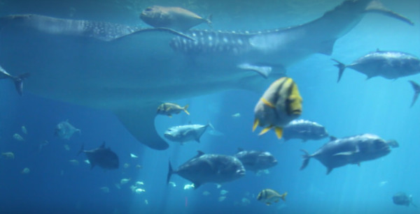 Beasts of the Abyss by Michael Hanna