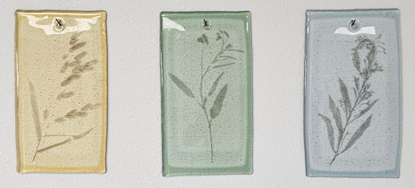 Plant Fossils III by Taylor Vaughan