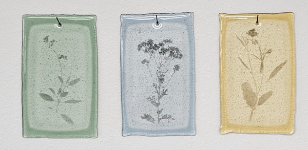 Plant Fossils II by Taylor Vaughan