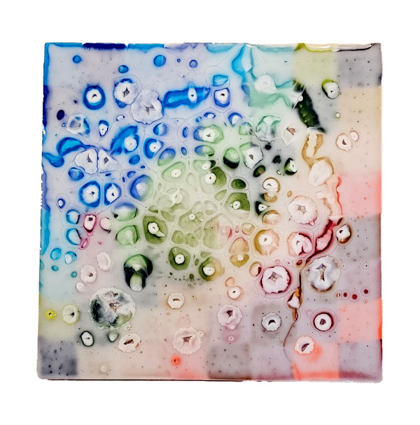 Solace by Taylor Vaughan