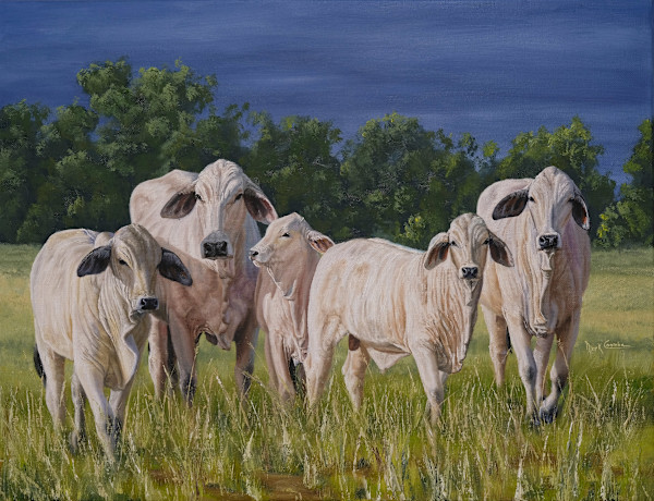 Brahmans