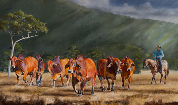 Bringing in the Boys by Mark Coombe