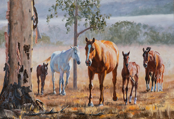 Brood Mares