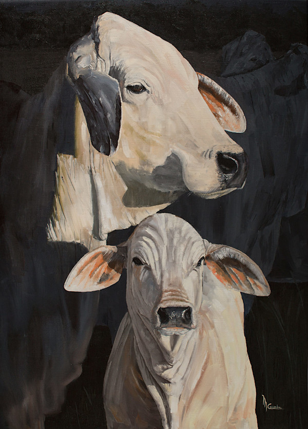 Cow & Calf by Mark Coombe