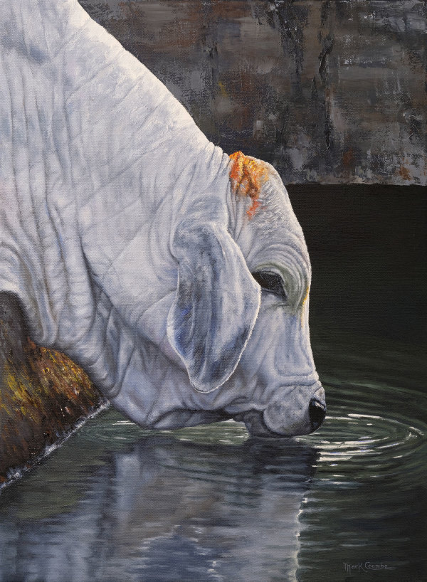 Rippled Reflections by Mark Coombe