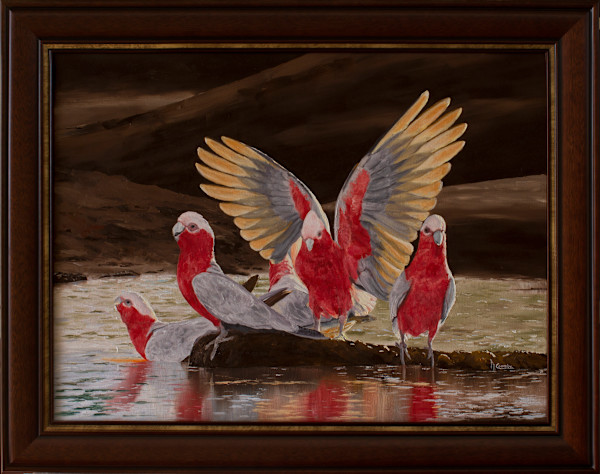 Galahs Drinking by Mark Coombe