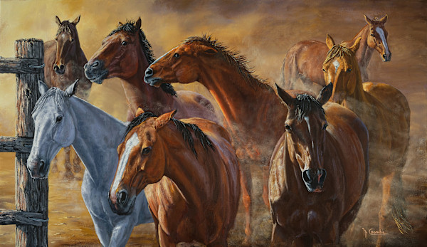 Horses by Mark Coombe