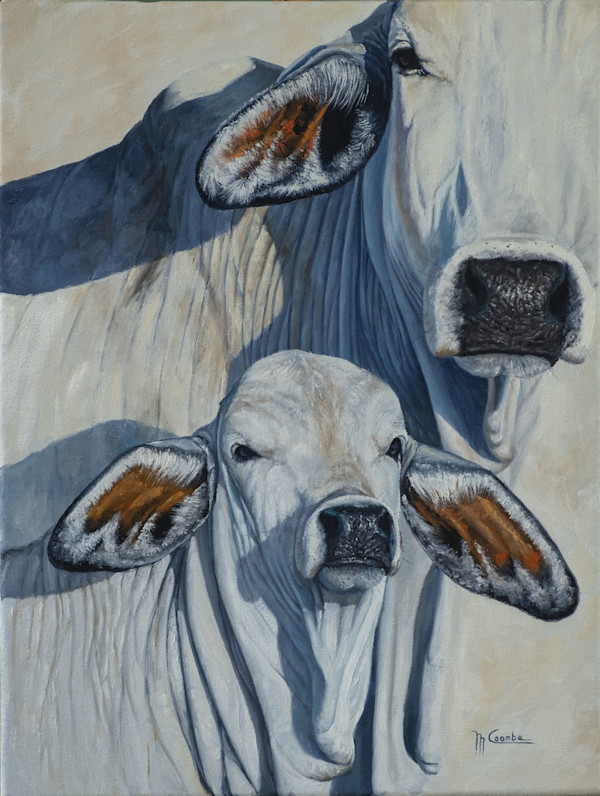 Inquisitive by Mark Coombe