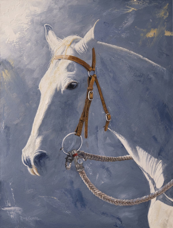 The Grey by Mark Coombe