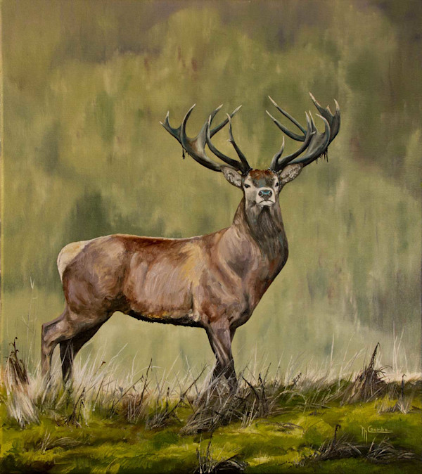 Commission by Mark Coombe