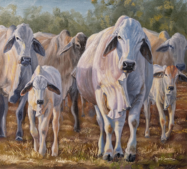 Reliable by Mark Coombe