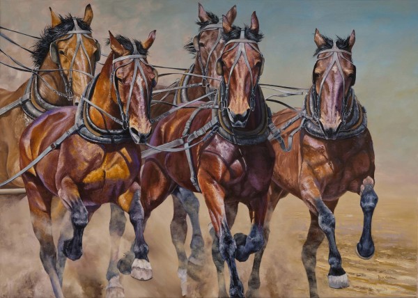 The Horses of Cobb & Co by Mark Coombe