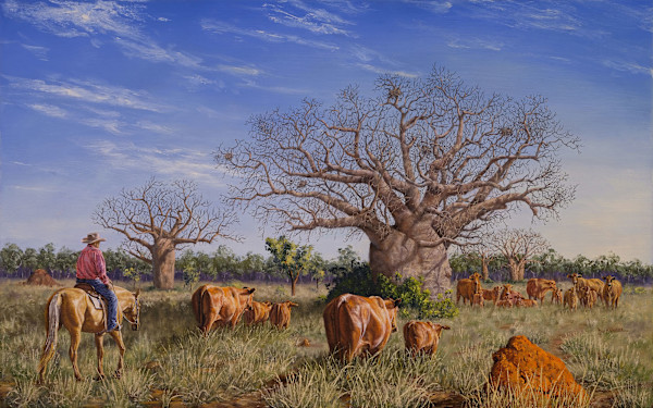 Boab Camp by Mark Coombe
