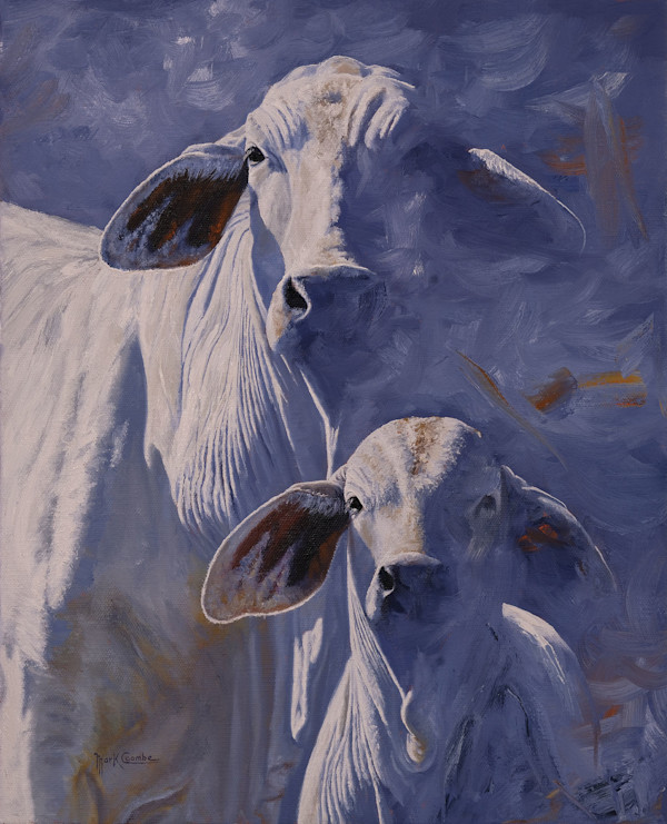 Brahman Shadows by Mark Coombe