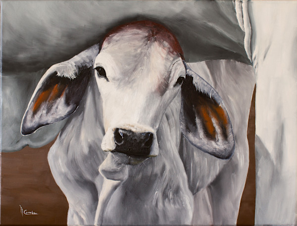 Safe by Mark Coombe