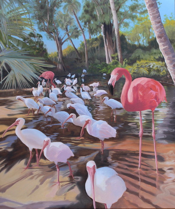 American Flamingo by Streeter Holden