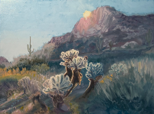 Sonoran Desert by Streeter Holden