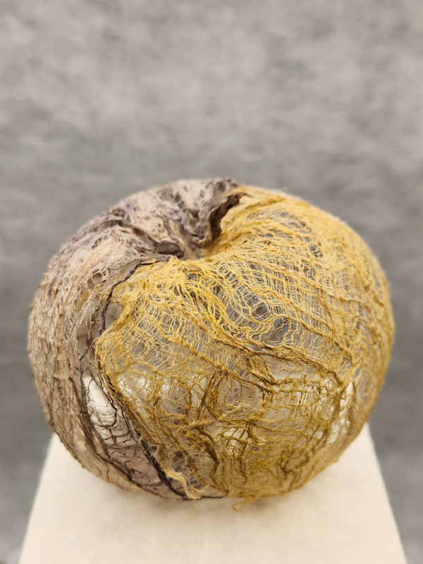 Sa-gwa (사과); or, Apologies by Myong Jin (진명이), Image 1.