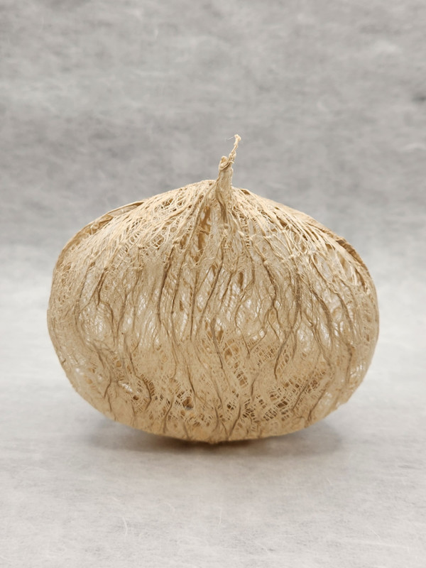 I long for a chestnut peeled by my mother by Myong Jin (진명이), Image 1.
