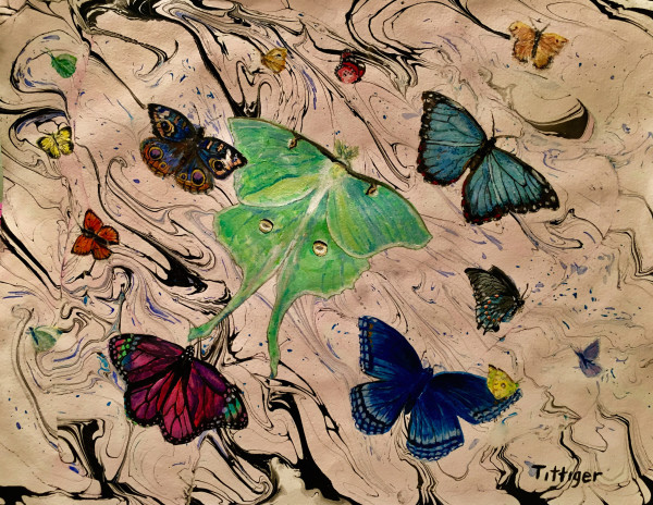 BUTTERFLY COLLECTION by Colleen Tittiger