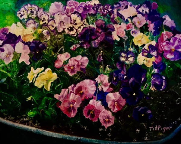 PRETTY PANSIES by Colleen Tittiger