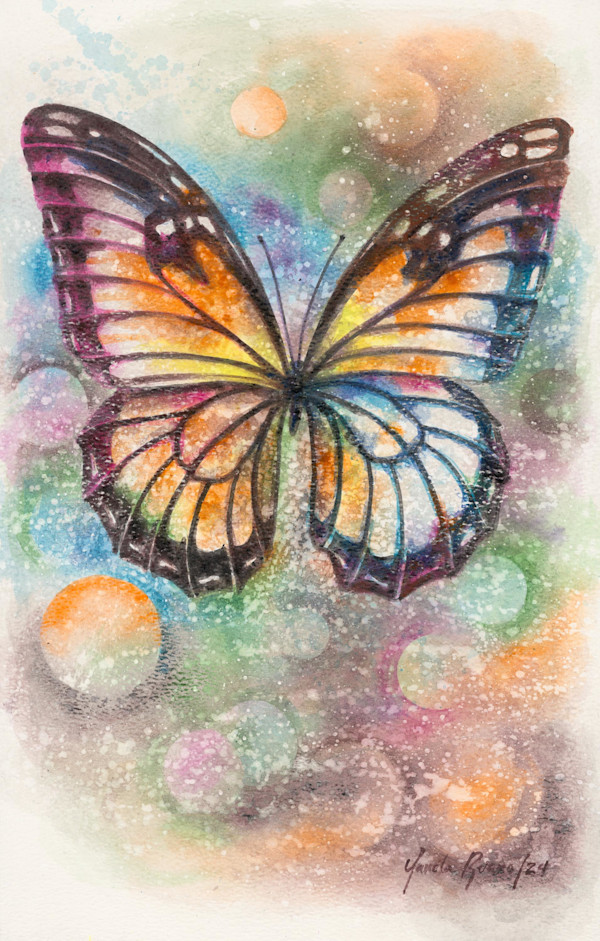 butterfly 1 by Yanela Ruano