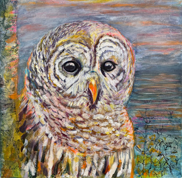 Higher Perspective by Ceci Lopez