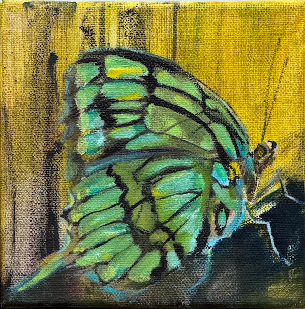 Assertiveness #5 by Ceci Lopez