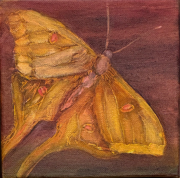 Clarity #1 by Ceci Lopez