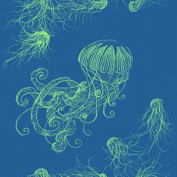 Jellyfish swimming by Janet Danforth