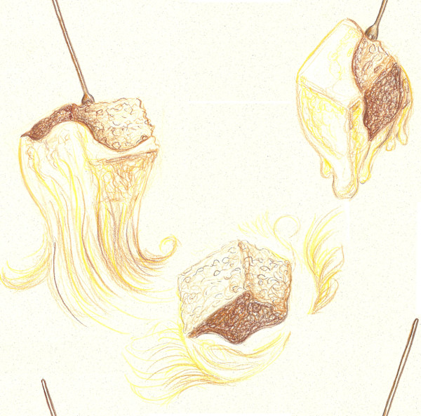 Fondue by Janet Danforth