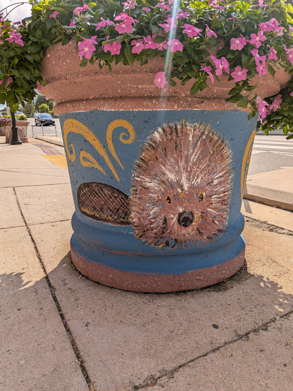 Beaver Planter by Janet Danforth, Image 6.