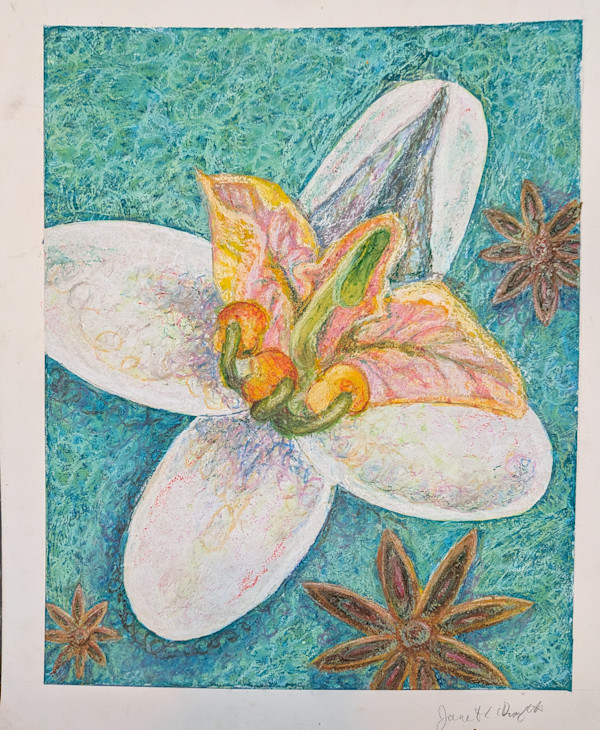 Star Anise Flower by Janet Danforth, Image 1.