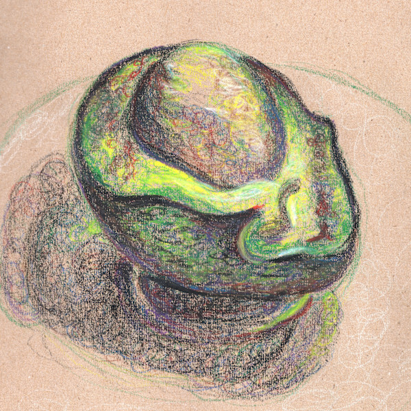 Avocado by Janet Danforth, Image 9.