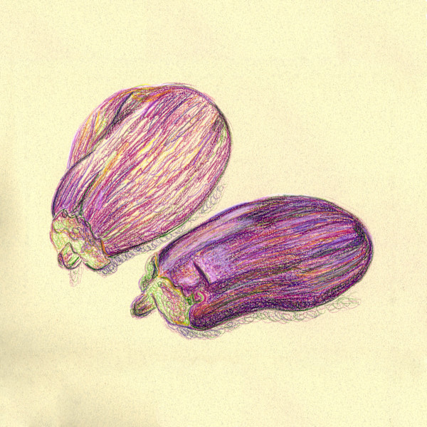 Italian Eggplant by Janet Danforth, Image 1.